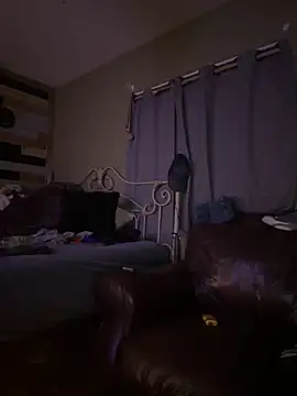 Polaroid White online show from 03.04.25