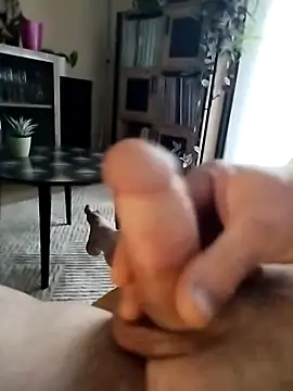 Snapshot of Davestco31 chatting on 03.12.25 Davestco31 online show from 03.12.25