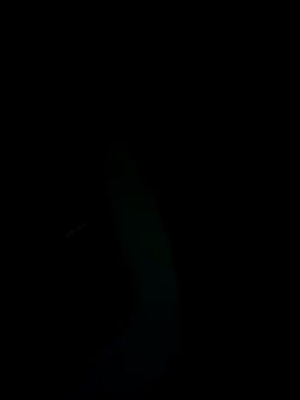 SunnY-0124xh online show from 02.25.25