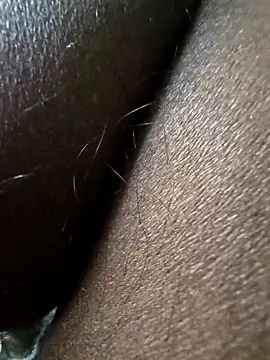 wildfun  online show from 11.30.25