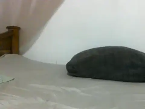 sissydinu online show from 02.28.25