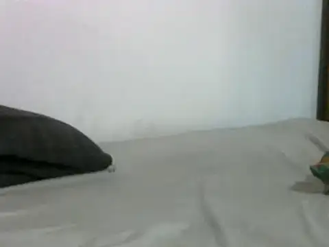 sissydinu online show from 03.17.25