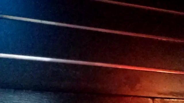 Snapshot of wetnwildforyou chatting on 10.29.25 wetnwildforyou online show from 10.29.25