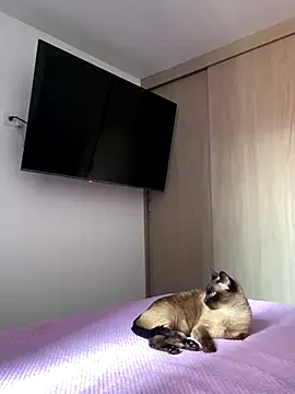 AshleyG 222 online show from 12.17.25