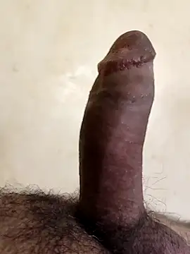 alkhabiir online show from 01.11.26