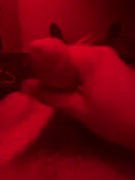 Snapshot of ruchacz24 chatting on 10.14.25 ruchacz24 online show from 10.14.25