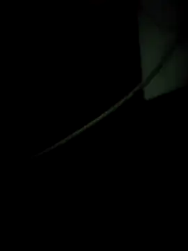 enoc369 online show from 12.04.25