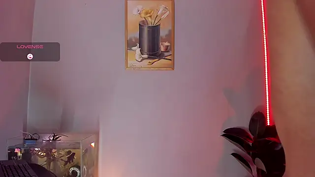 CRAZY-BOY99 online show from 10.31.25