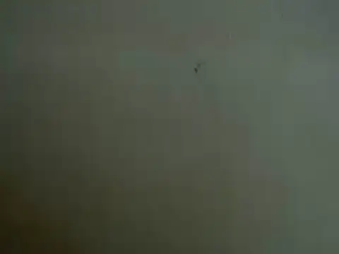 mayra89 online show from 03.29.26