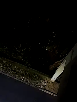 BUTTerflyTODAY online show from 04.22.26