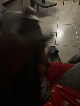 Goodball88 online show from 02.28.26