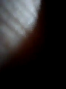 Snapshot of Sandra42 chatting on 12.21.25 Sandra42 online show from 12.21.25