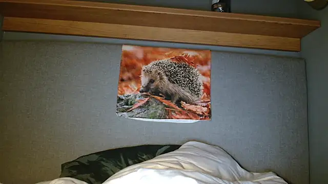 Saysay-7 online show from 10.05.25