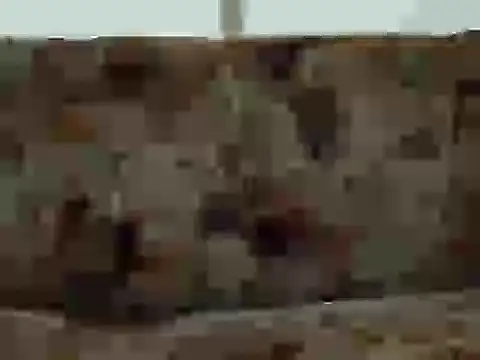 priya patel online show from 09.12.25