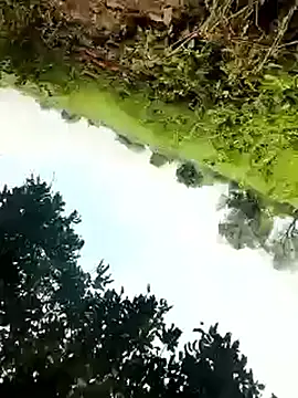 himvilohi08 online show from 10.04.25