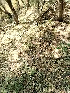 himvilohi08 online show from 03.22.26