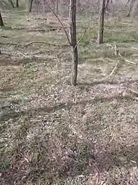 Snapshot of sile47 chatting on 03.11.25 sile47 online show from 03.11.25