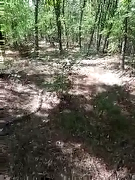 Snapshot of sile47 chatting on 09.13.25 sile47 online show from 09.13.25