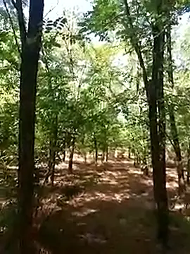 Snapshot of sile47 chatting on 09.16.25 sile47 online show from 09.16.25