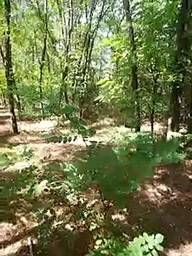 Snapshot of sile47 chatting on 09.21.25 sile47 online show from 09.21.25