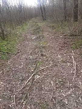 Snapshot of sile47 chatting on 03.16.26 sile47 online show from 03.16.26