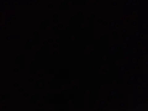 Snapshot of SavagesGN chatting on 02.03.26 SavagesGN online show from 02.03.26