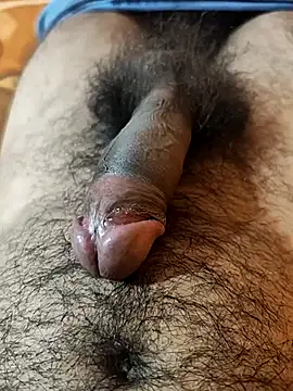 pmr1997 online show from 10.11.25