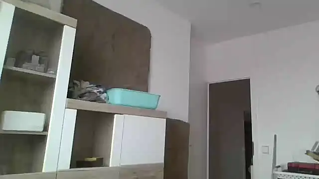 Snapshot of ThePython666 chatting on 11.24.25 ThePython666 online show from 11.24.25