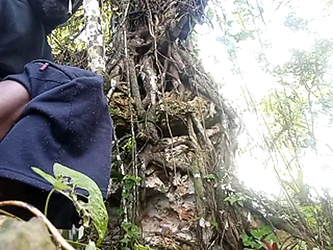 rasvinchi online show from 03.29.26