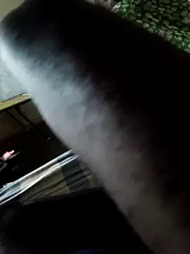 PolarFriend0 online show from 02.14.26