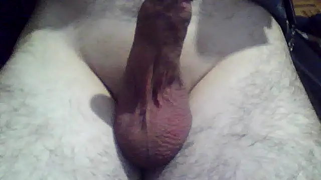 soyorkarxx online show from 12.18.25