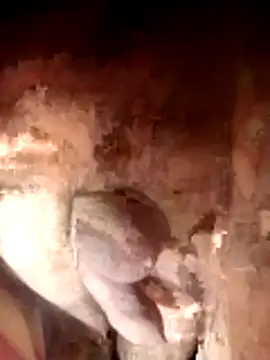 Snapshot of Ayush_pussy_fucker chatting on 11.23.25 Ayush pussy fucker online show from 11.23.25