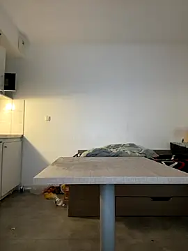 Renoirmonter online show from 11.11.25