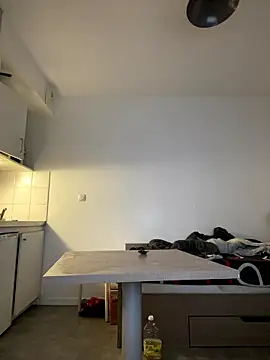 Renoirmonter online show from 01.11.26