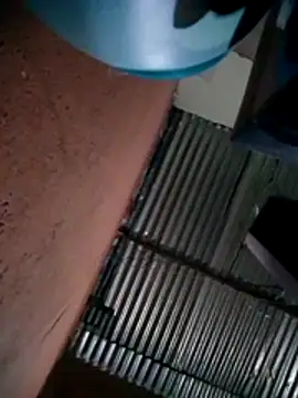 317894 online show from 10.24.25