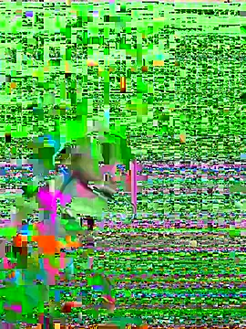 HenriquePhn online show from 02.06.26