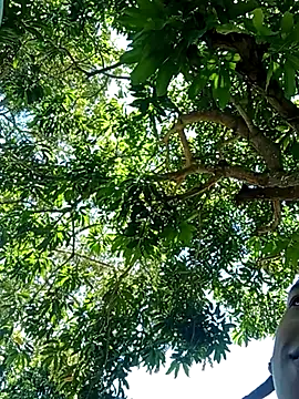 Snapshot of perversumm chatting on 09.21.25 perversumm online show from 09.21.25