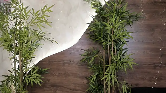 Snapshot of mia_lacy_ chatting on 11.23.25 mia lacy online show from 11.23.25