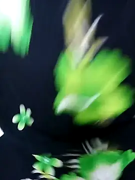 tamiltady online show from 09.12.25