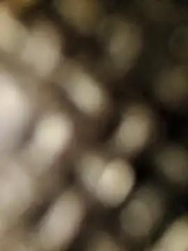 geilerschwanz556r7 online show from 09.30.25