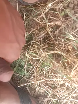 perplexedsoul online show from 12.01.25