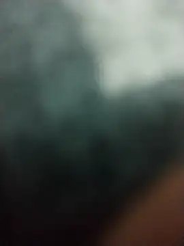 Elonmo online show from 03.06.26