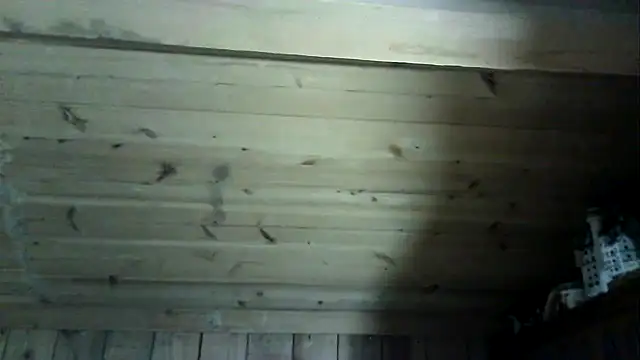 Snapshot of Angelsordemons6 chatting on 03.04.26 Angelsordemons6 online show from 03.04.26