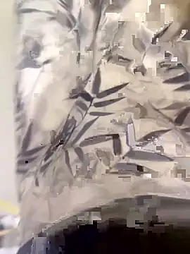 Snapshot of xiaoyuan01 chatting on 10.10.25 xiaoyuan01 online show from 10.10.25