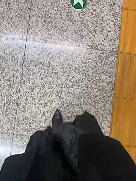 Snapshot of xiaoyuan01 chatting on 10.31.25 xiaoyuan01 online show from 10.31.25