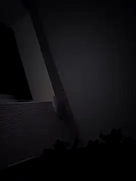 Snapshot of DarkAngelz1 chatting on 12.01.25 DarkAngelz1 online show from 12.01.25