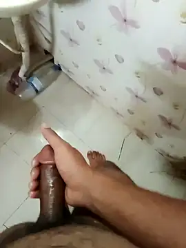 zim200 online show from 04.11.26