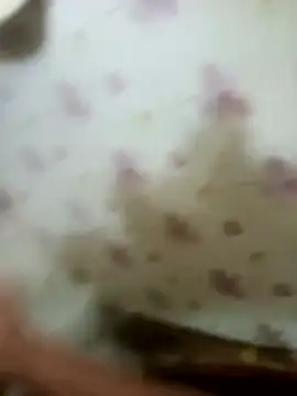 zim200 online show from 04.12.26