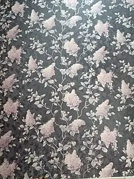 Dari Toy  online show from 11.07.25