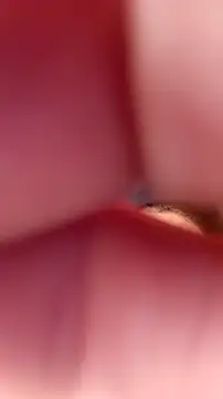 Snapshot of Fox_Roxxan chatting on 09.22.25 Fox Roxxan online show from 09.22.25